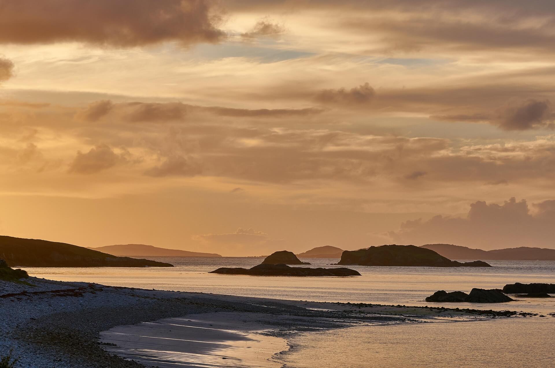 Counselling and psychotherapy support